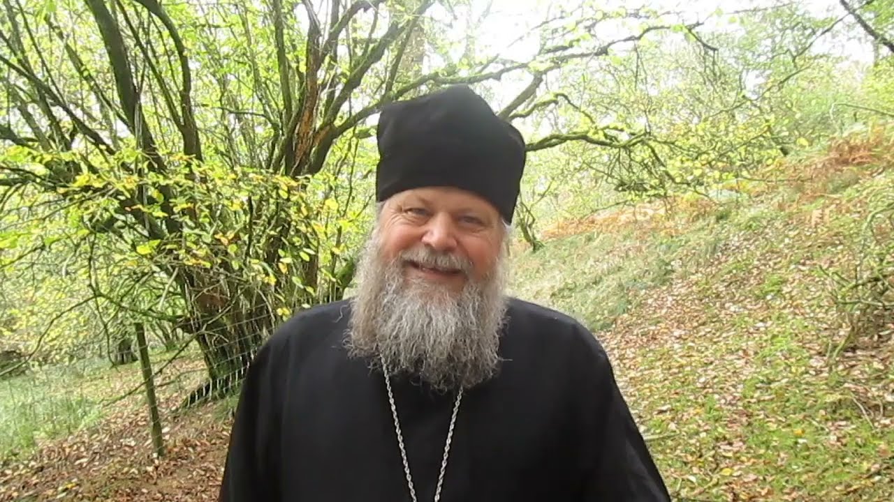 Состояние хуже одержимости — отец Спиридон Бейли