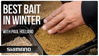What’s the best bait for winter? | Winter Fishing Tips with Paul Holland