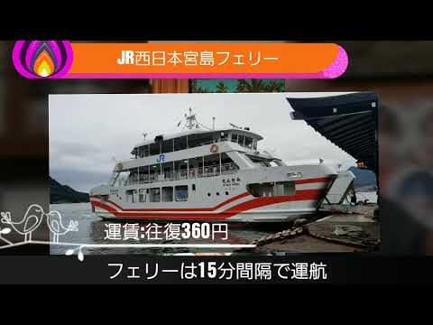 64th YUME日和(2003)♪島谷ひとみ TRAVEL ＆ LIVE SHOW in 広島県 宮島