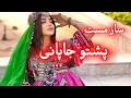 ساز مست پشتو جاپانی محفلی    2026