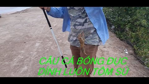 Câu cá bóng đục dính luôn tôm sú ở Xã Lý Nhơn Huyện Cần Giờ || Shadow Fishing in CAN GIO District