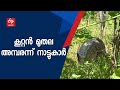 ഹരിദ്വാറിൽ നാട്ടുകാരെ ഭീതിയിലാക്കി ഭീമൻ മുതല