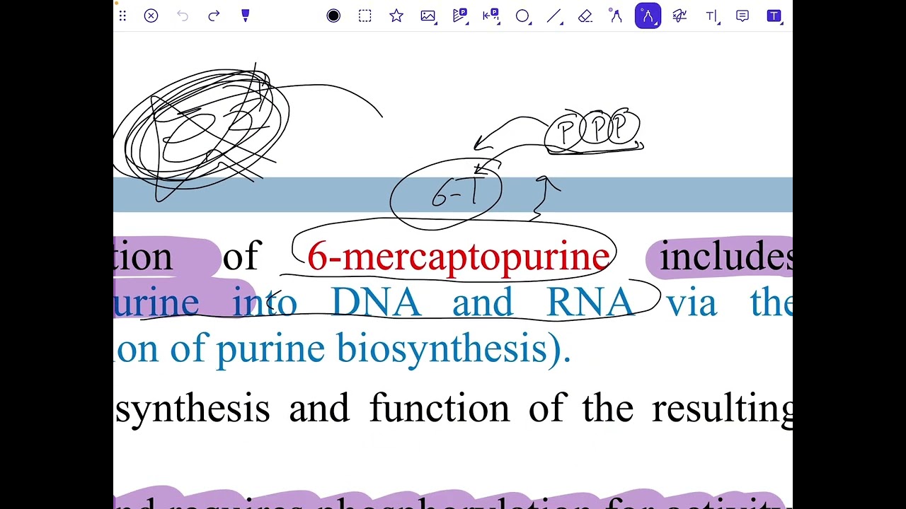 Pharmaceutical chemistry(Purine)شرح عضوية وزاري مرحلة رابعة صيدلة