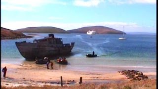 Antarctic Cruise - New Island, Falkland Islands, January 19, 2001, Part 2
