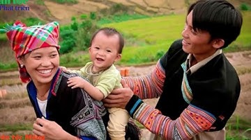 Beat sáo mèo C | CHIẾC KHĂN PIÊU