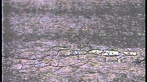 Pavement Management Systems: Data Collection and Management