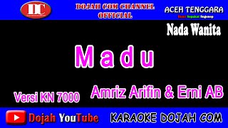 MADU - AMRIZ ARIFIN & ERNI AB - KARAOKE VERSION ( Vocal Wanita )