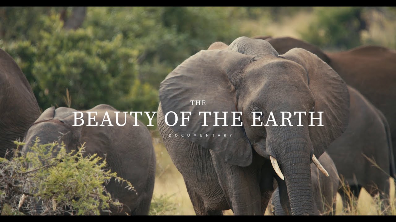 Kruger National Park - Satara Rest Camp