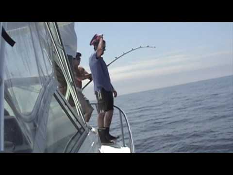 Sharking on the gemini part 1