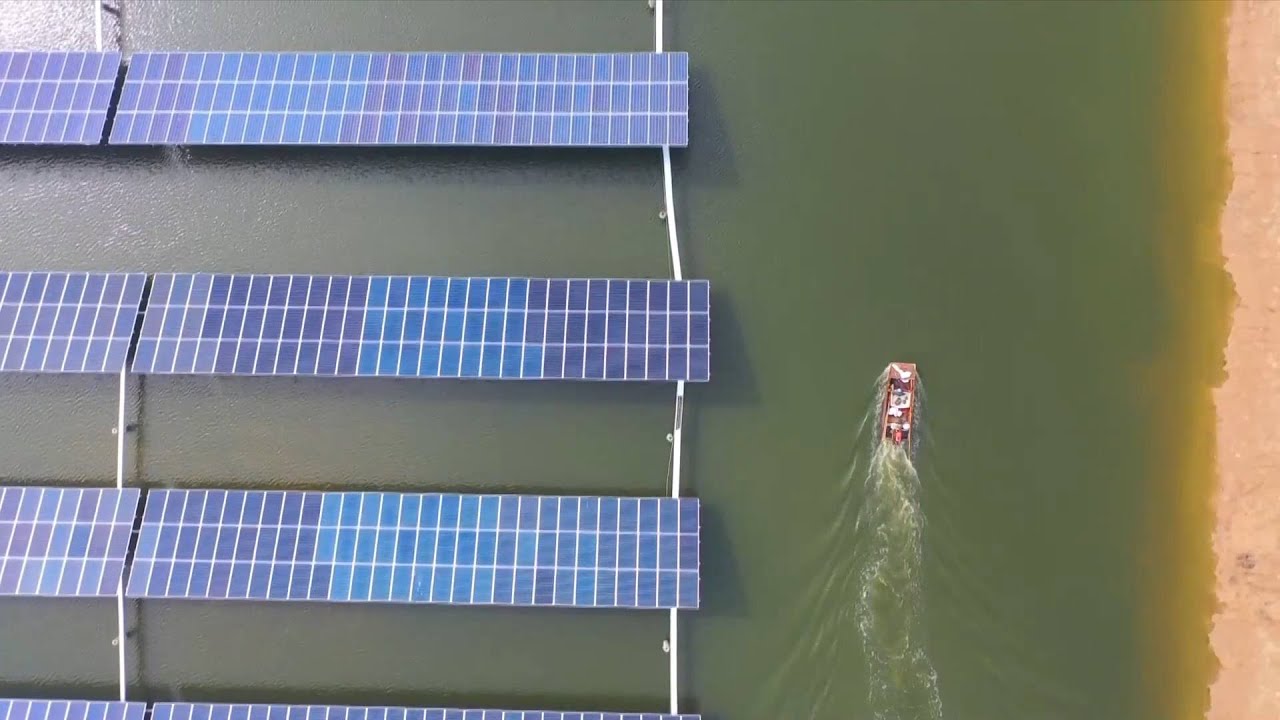 Solar panels above fishery water boost shrimp farming in E China YouTube