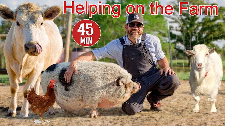 Helping a Farmer Feed and Care For His Animals (Educational Farm Video For Kids)