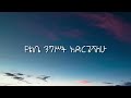 Dawit Tsige Wude Wude Lyrics Ethiopian Music 