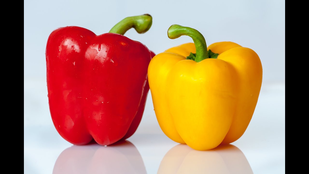 Red and Yellow Bell Pepper Capsicum Farming YouTube