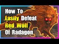 How to easily defeat red wolf of radagon  elden ring