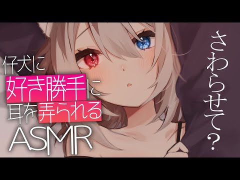 【ASMR】🦴仔犬に好き勝手に耳を弄られて眠りませんか？🦴【囁き/耳ふー/耳かき/耳塞ぎ/吐息/心音】