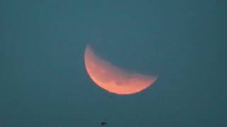 moon eclipse 31.01.2018 Лунное затмение http://qqurl.ru/aeou )