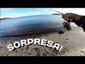 PESCA INVERNAL a ROCKFISHING con SORPRESA | VideoBlog #3