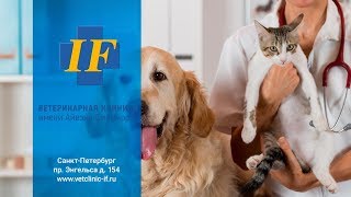 Ролик для ветеринарной клиники