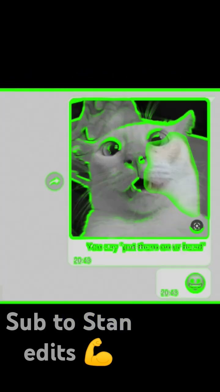 What colour is the sky ay mi amor ay mi amor shorts viral cats coco