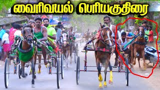 புதுக்கோட்டை(மா) வைரிவயல் பெரியகுதிரை பந்தயம்