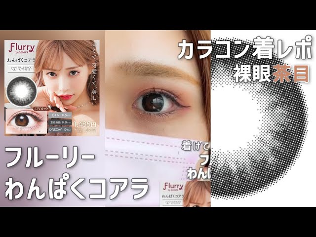 カラコン着レポ フルーリー わんぱくコアラ 裸眼茶目 Shorts Youtube