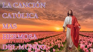 Canciones Catolicas 2024 🙏 Hermosas canciones religiosas católicas letras de alabanza y adoración