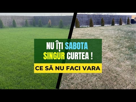 Video: Ce ar trebui să fie gazonul din țară