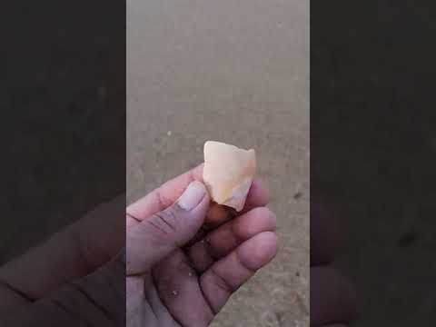 على شاطئ البحر