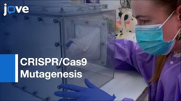 CRISPR/Cas9 Mutagenesis induced by Embryo Microinjection | Protocol Preview