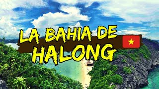 🇻🇳Mi experiencia en la Bahía de Halong. #Vietnam 3/8