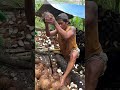 Splitting the Hard Way: Why This Coconut Hack Lasts Generations