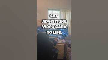 30 day journey Creating a Cute Cat Game #programming #coding #gamedev #gamedevelopment #twitch