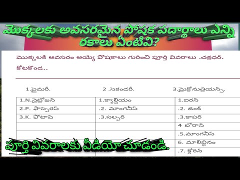 Plants Nutrients|  చెట్టుకి అవసరం అయిన పోషకాలు రకాలు పూర్తి వివరాలు