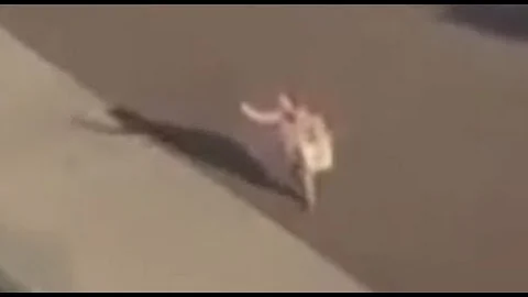 Distraught Mom Watches Cruise Ship Sail Away With Kids Aboard