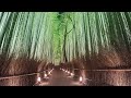 حدائق اليابان | Japan Gardens