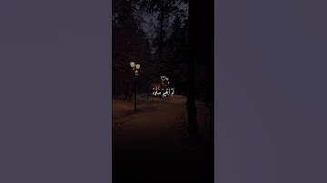 اكتب شيء تؤجر عليه ❤🌿||القارئ ماهر المعيقلي 🎧😴