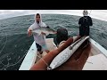 This Lure Works! - Mackerel Fishing