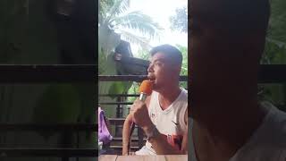 ABS-CBN kapamilya actor Leopoldo Santos Labrador jr 28 girls justices Philippines 😢 News