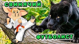 Как сохранить природу 😁 Большие кошки ✔ Эко сумки "Свинья" Как сохранить природу 😁 Большие кошки ✔ Эко сумки "Свинья"
