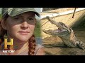 Swamp People: SERIOUSLY HOT GATOR HUNT (Season 13)