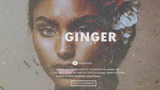 Video thumbnail of "[FREE] Ayra starr x omah lay "Ginger me" Rema  Afro Type Beat 2023"