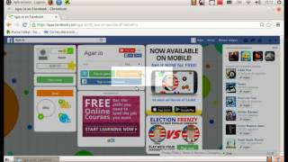 Agar.io Hack Coins 100. Work