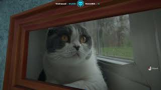 Lirik sees his cat, Nayna, in Internet Cafe Simulator 2 | LIRIK