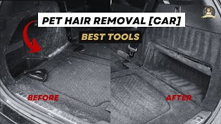 Struggling with Stubborn Pet Hair in Your Car? [BEST TOOLS]