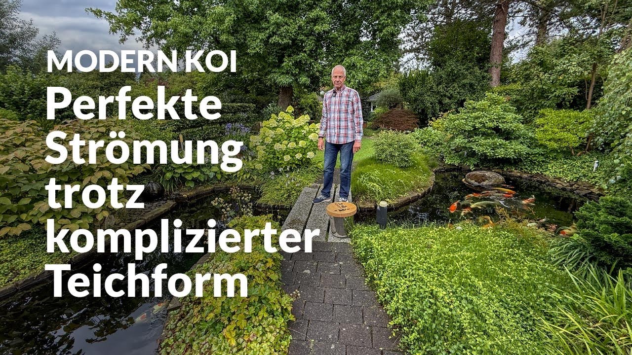 Berts Koiteich & ein liebevoll gestalteter Garten | Modern Koi Blog #8081
