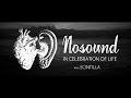 Nosound  in celebration of life from scintilla