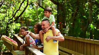 Visit Jungle Island | #1 Miami Eco-Adventure Theme Park