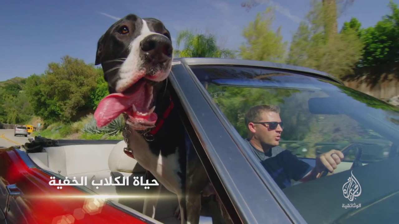 أفلام تعرض لأول مرة في النصف الأول من شهر يونيو (برومو)