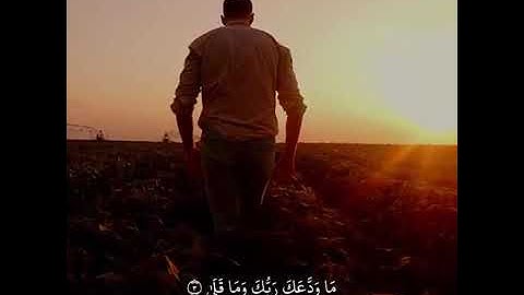 بصوت جميل --سورة الضحى- -عبد الرحمن مسعد