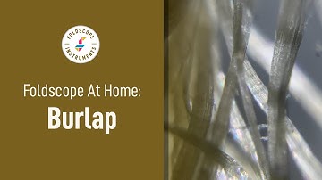 Foldscope at Home: Burlap